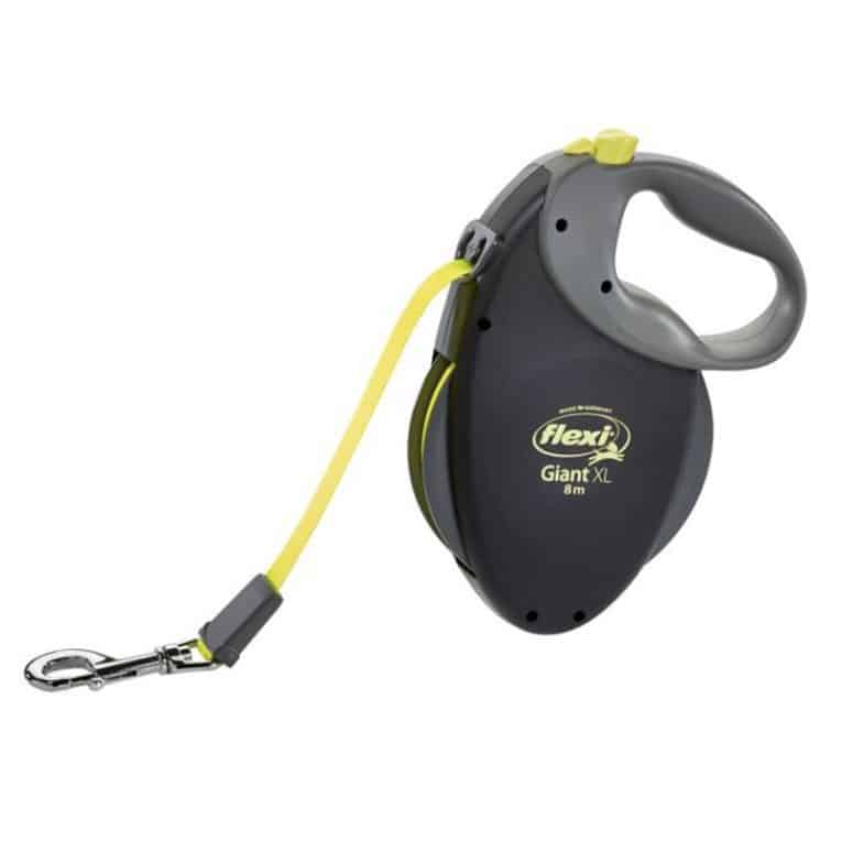 10 Best Dog Leashes for Hiking Adventures Gear Assistant