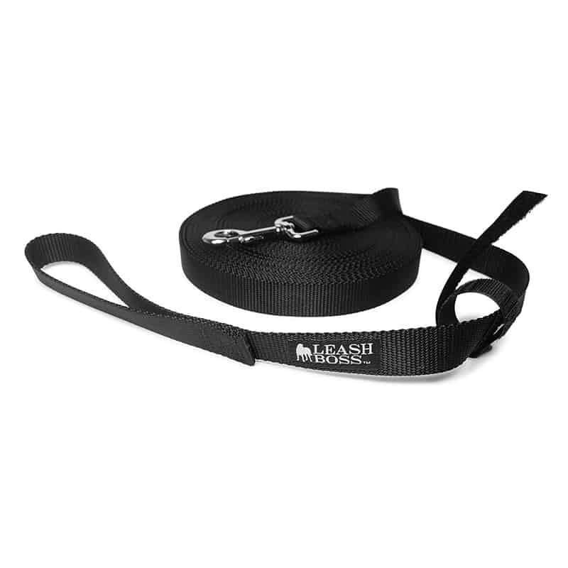 10 Best Dog Leashes For Hiking In 2024