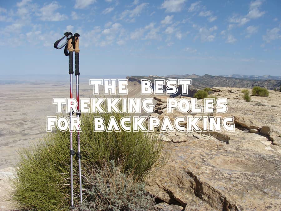 best trekking poles for backpacking