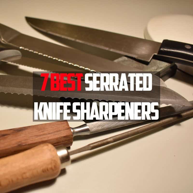 best serrated knife sharpners in the world