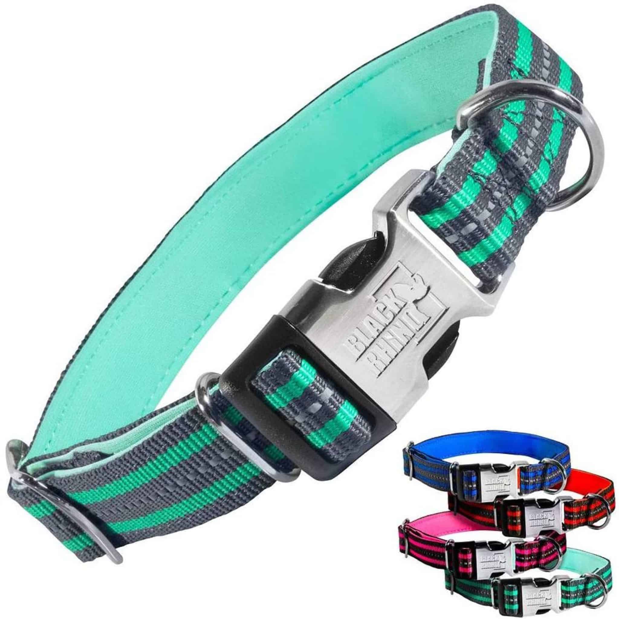 9 Best Dog Collars For Hiking 2024