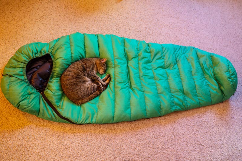 all season sleeping bag made with down insulation