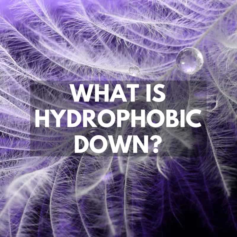 What is Hydrophobic Down