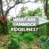 Hammock Ridgeline Length Explained