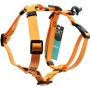 Best Waterproof Dog Harness