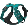 Best Dog Harness for Hiking