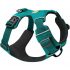 7 Best Dog Harness for Hiking and Camping in 2024